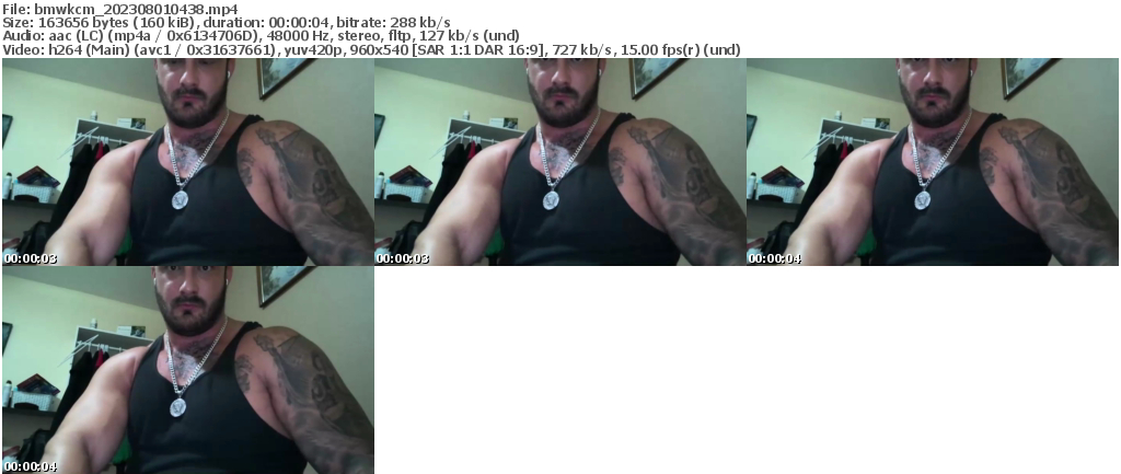 Preview thumb from bmwkcm on 2023-08-01 @ chaturbate
