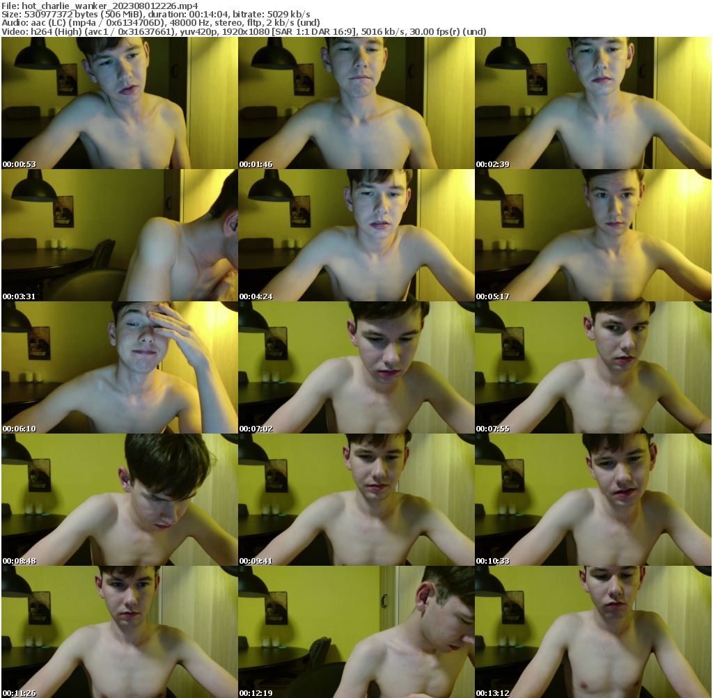 Preview thumb from hot_charlie_wanker on 2023-08-01 @ chaturbate