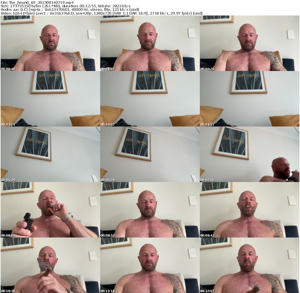 Preview thumb from the_hound_69 on 2023-08-14 @ chaturbate