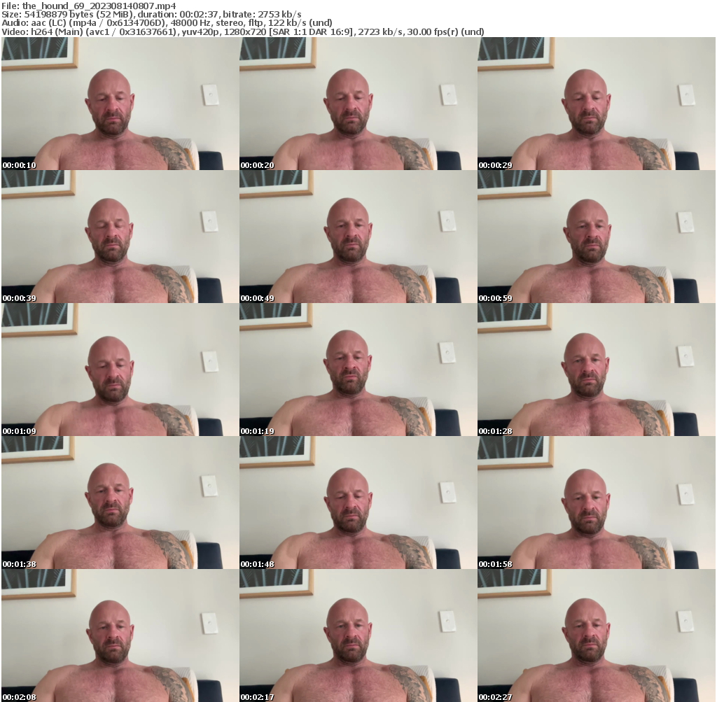 Preview thumb from the_hound_69 on 2023-08-14 @ chaturbate