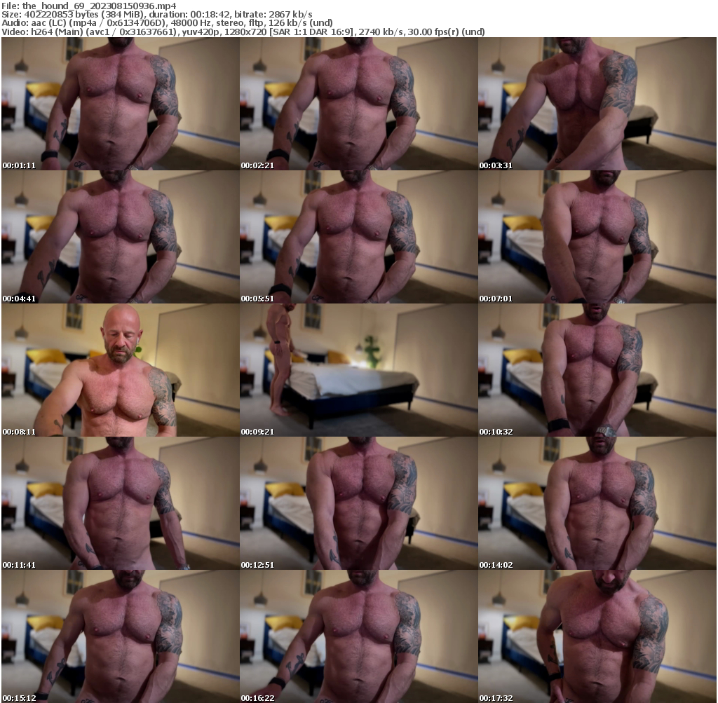 Preview thumb from the_hound_69 on 2023-08-15 @ chaturbate