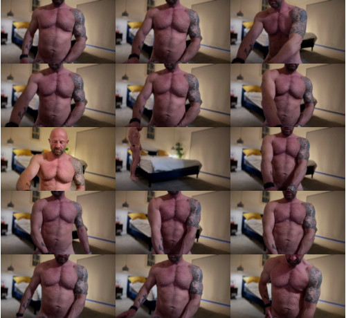 View or download file the_hound_69 on 2023-08-15 from chaturbate