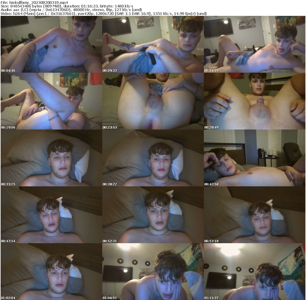 Preview thumb from hiskullboiy on 2023-08-20 @ chaturbate