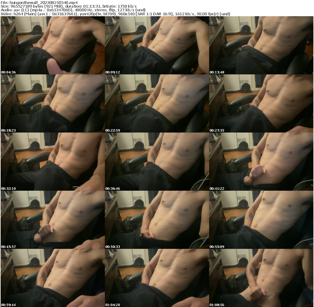 Preview thumb from hungonthewall on 2023-08-21 @ chaturbate