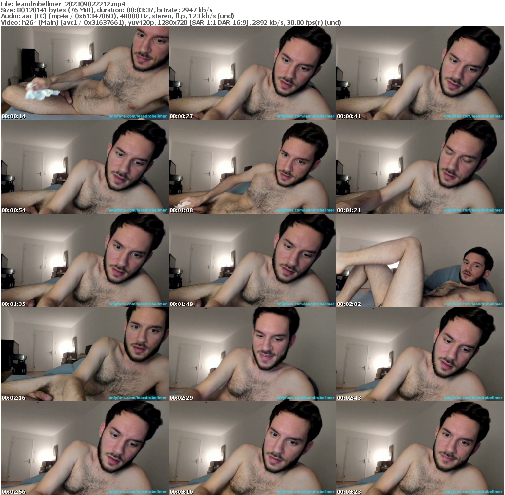 Preview thumb from leandrobellmer on 2023-09-02 @ chaturbate
