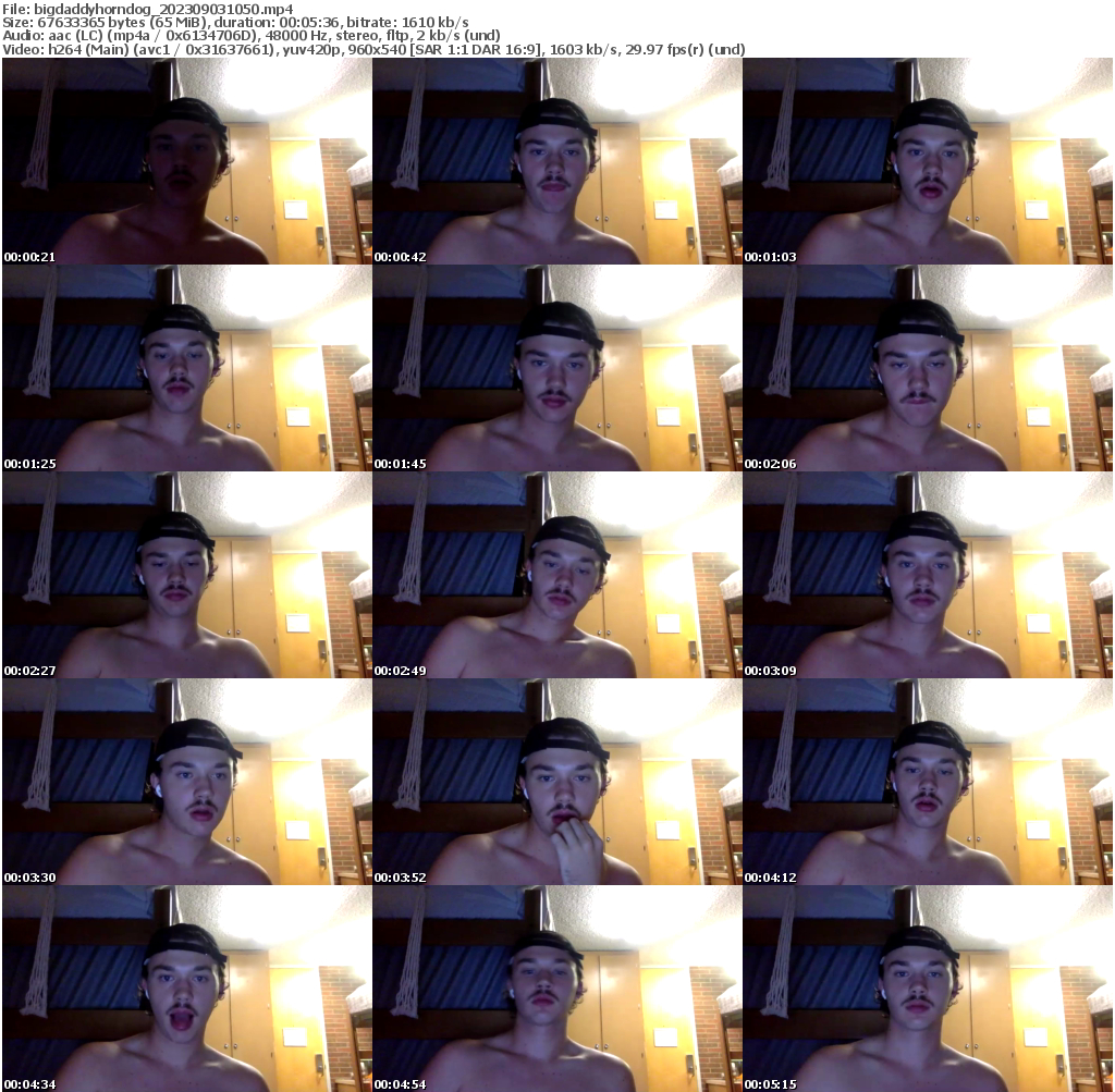 Preview thumb from bigdaddyhorndog on 2023-09-03 @ chaturbate