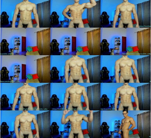 View or download file exquisite_gabe on 2023-09-06 from chaturbate