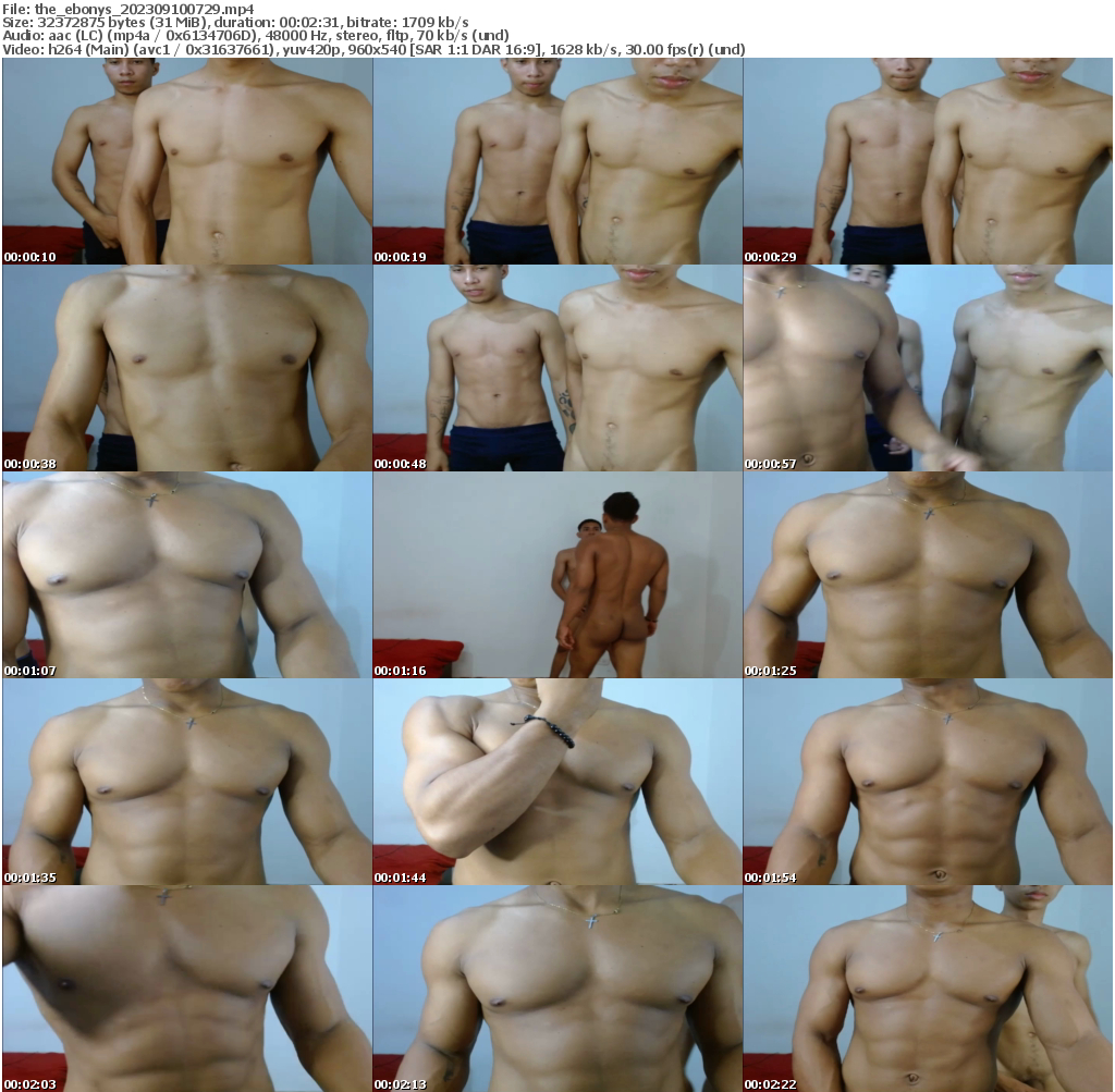Preview thumb from the_ebonys on 2023-09-10 @ chaturbate
