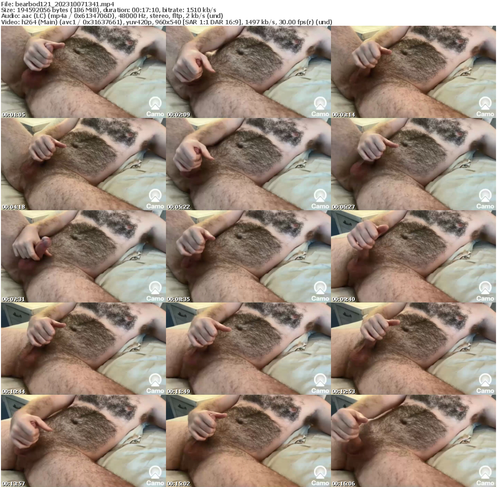 Preview thumb from bearbod121 on 2023-10-07 @ chaturbate