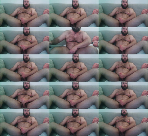 View or download file beardedbison on 2023-10-15 from chaturbate