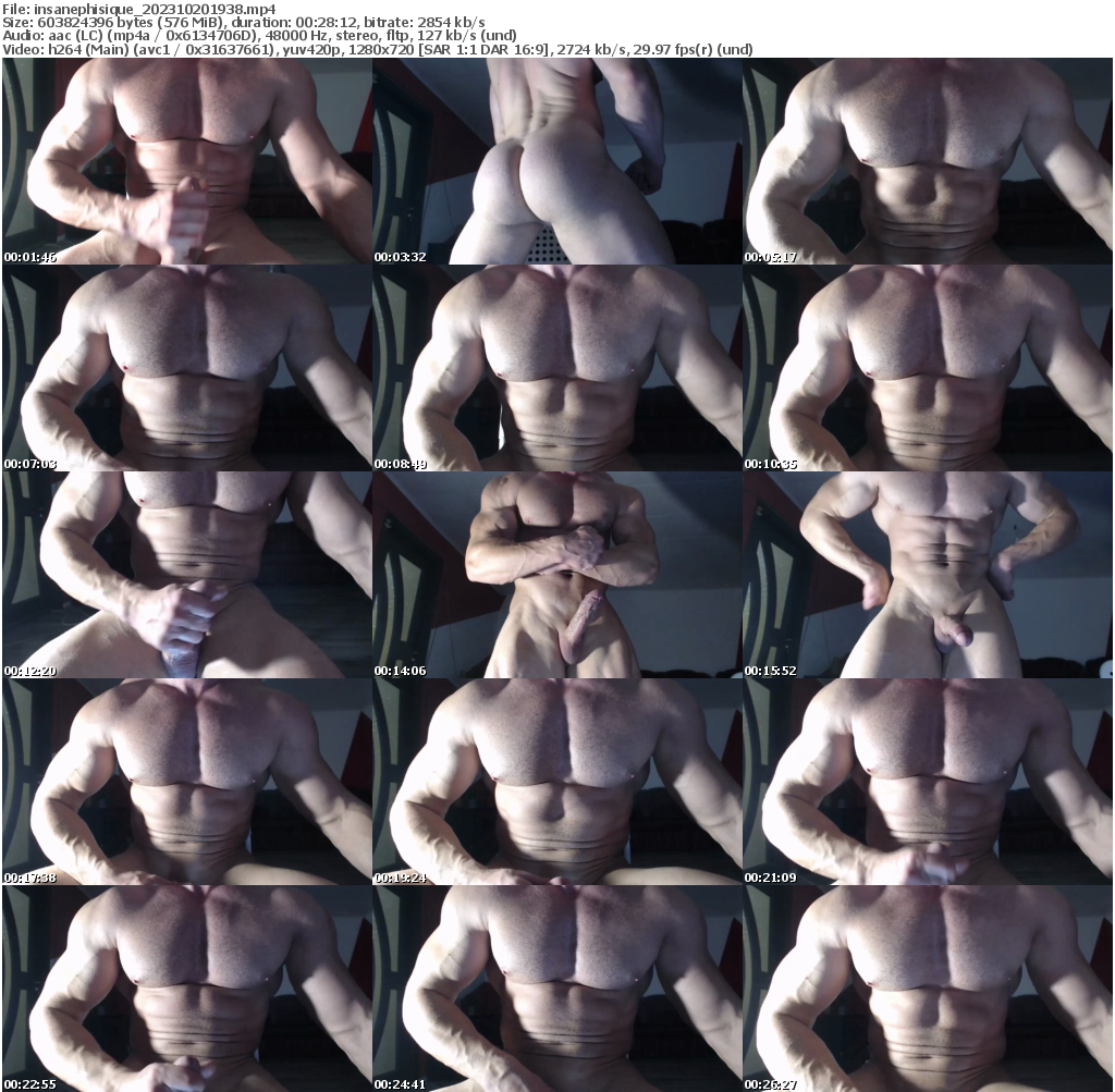 Preview thumb from insanephisique on 2023-10-20 @ chaturbate