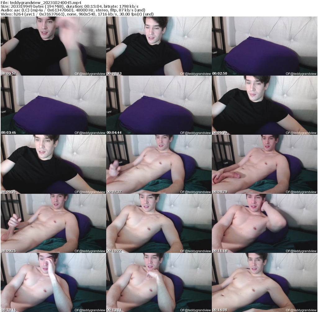 Preview thumb from teddygrandview on 2023-10-24 @ chaturbate