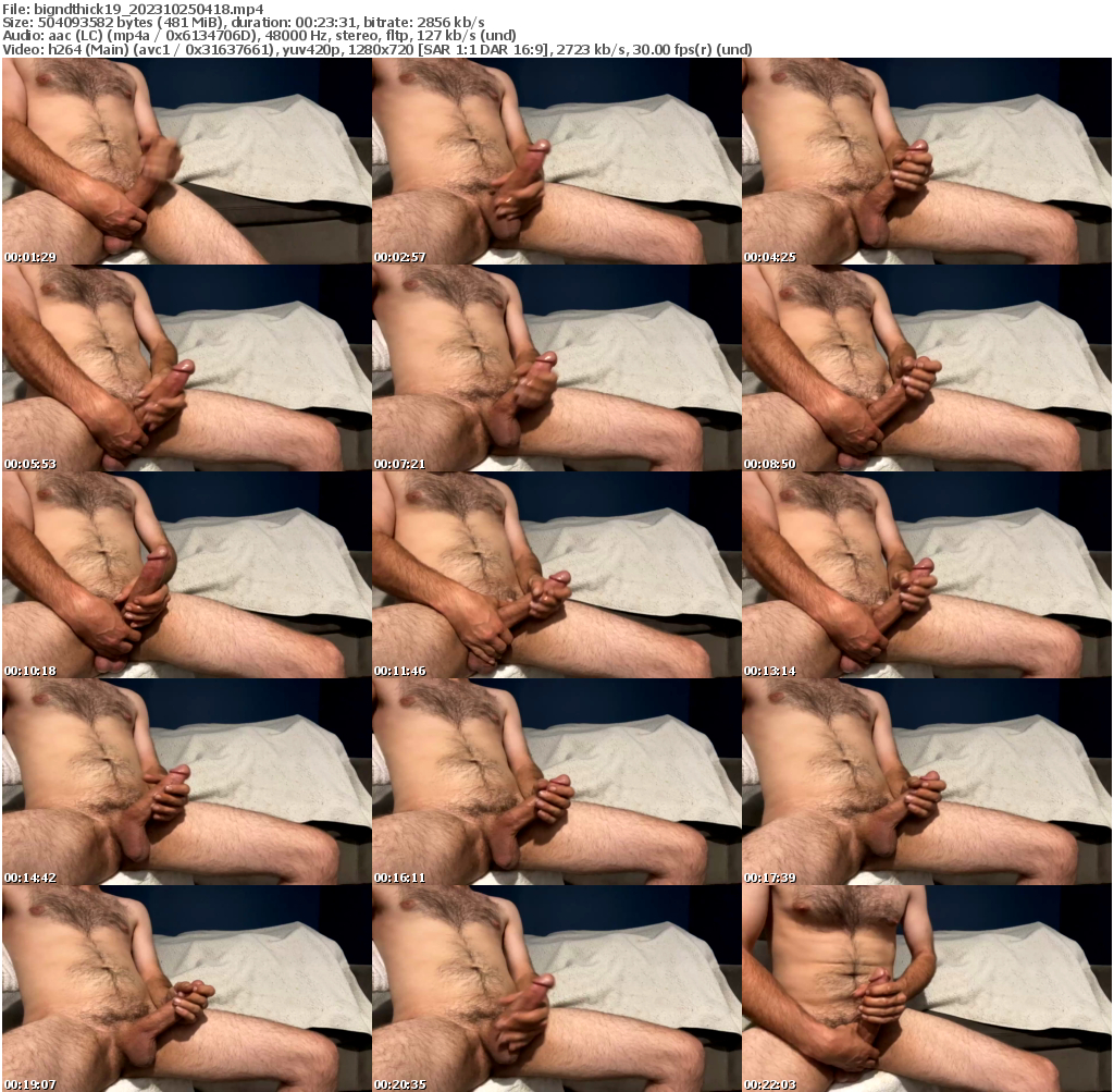 Preview thumb from bigndthick19 on 2023-10-25 @ chaturbate