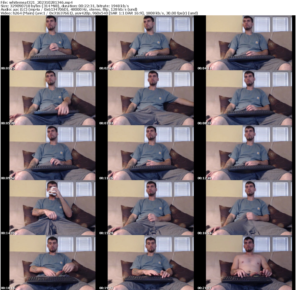 Preview thumb from whitemeat321 on 2023-10-28 @ chaturbate