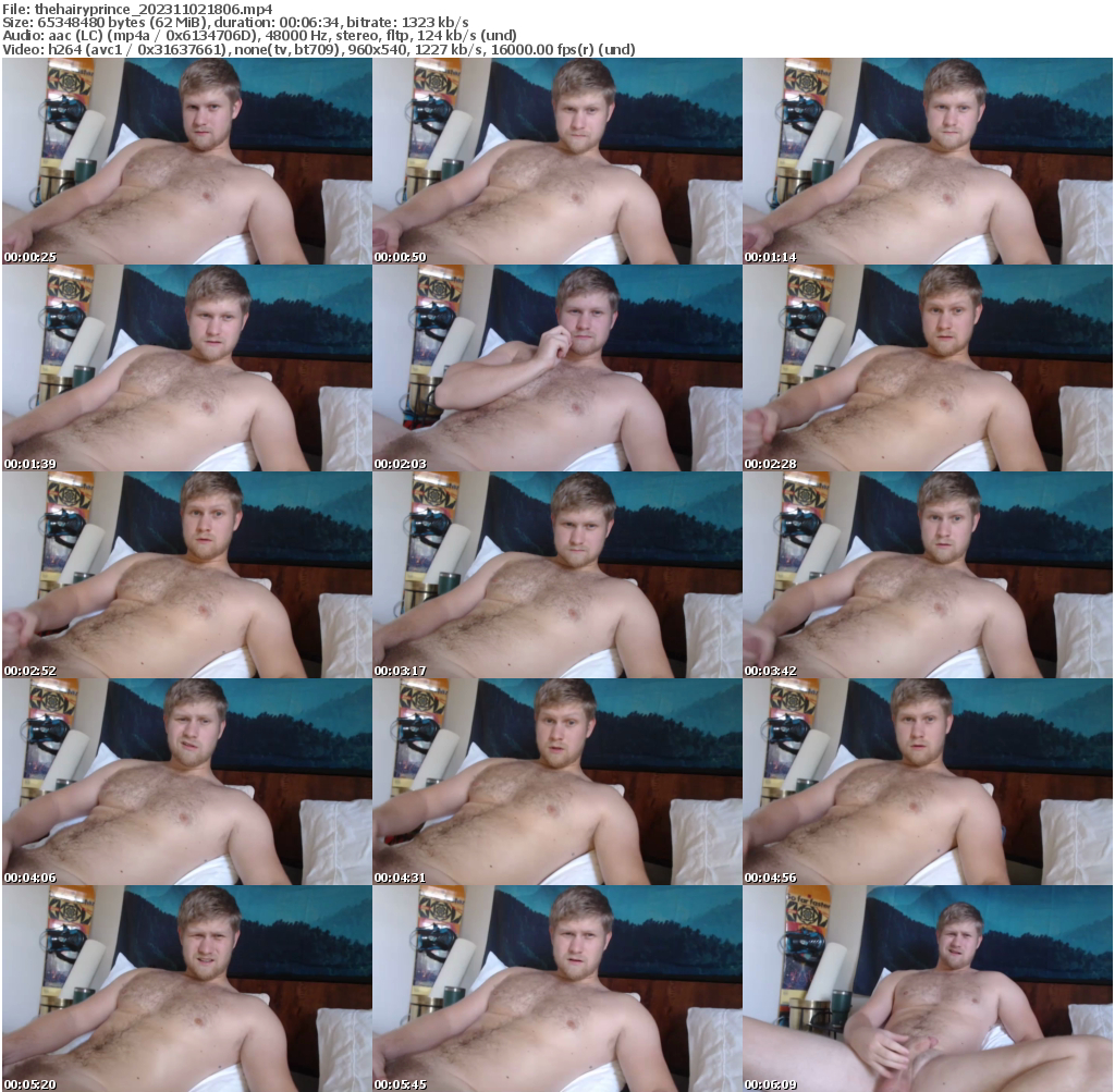Preview thumb from thehairyprince on 2023-11-02 @ chaturbate