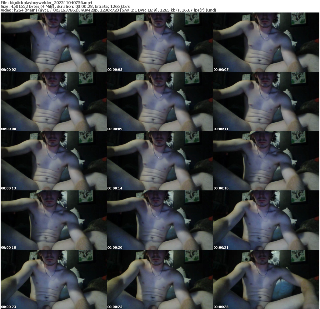 Preview thumb from bigdickplayboywelder on 2023-11-04 @ chaturbate
